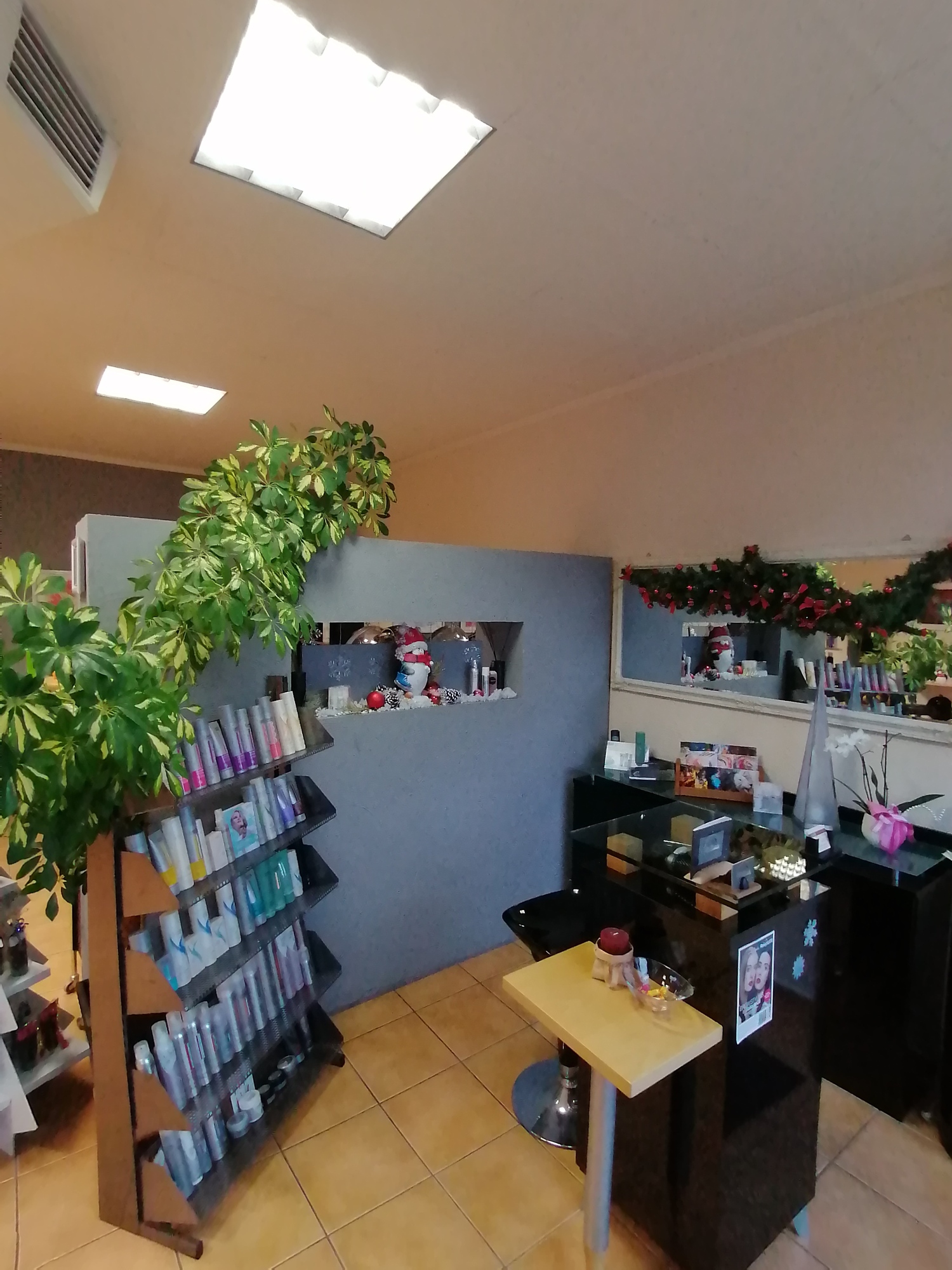 Salon Haarambiente